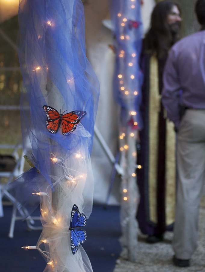 quinceanera butterfly theme