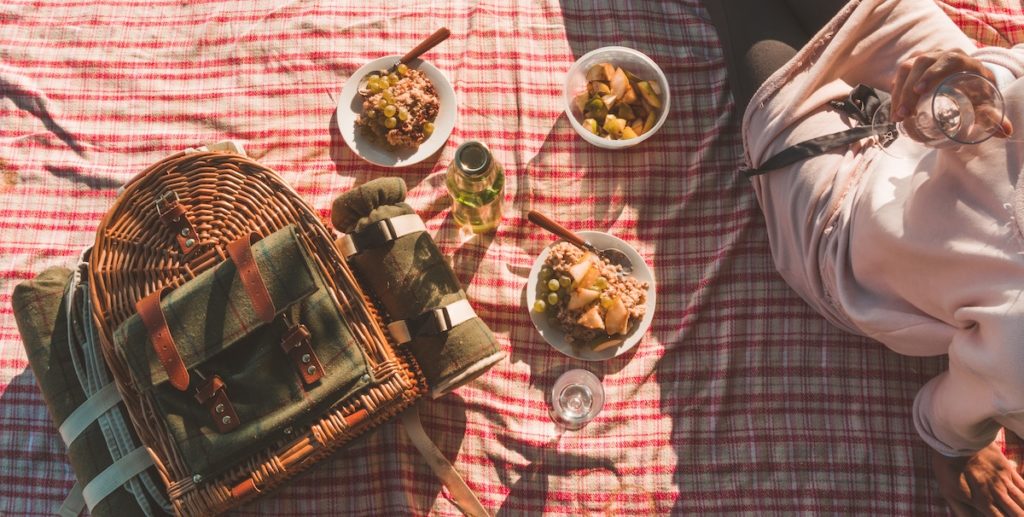 picnic backpack kit