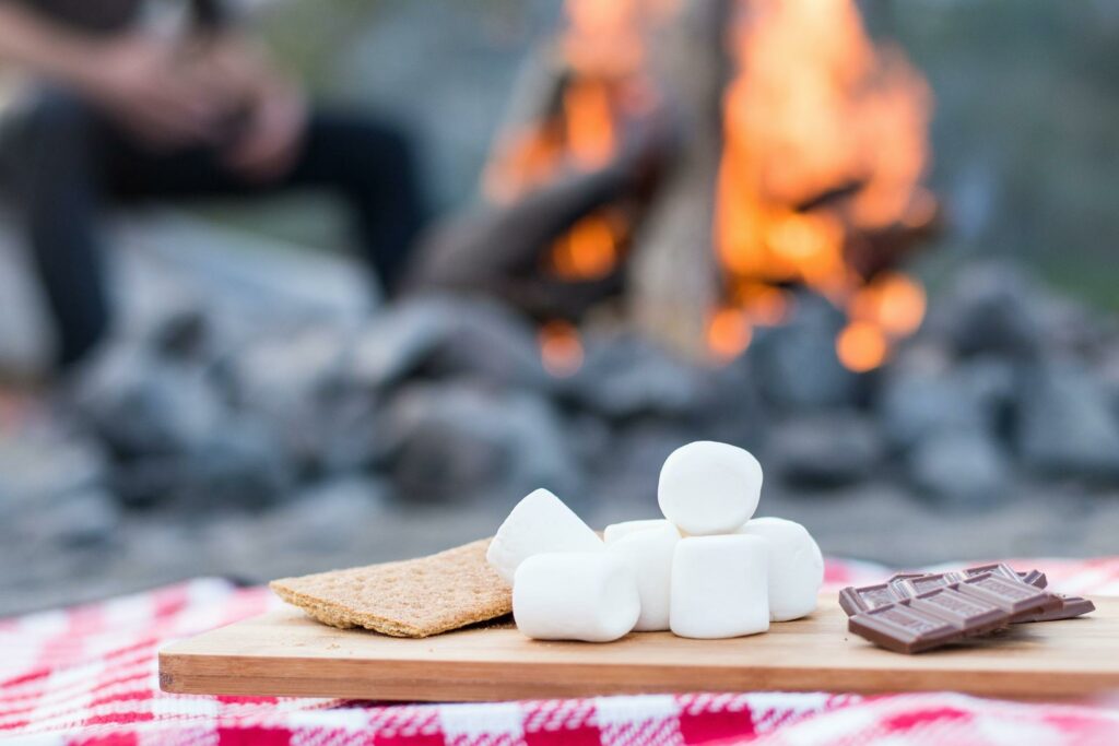 smores and bonfire