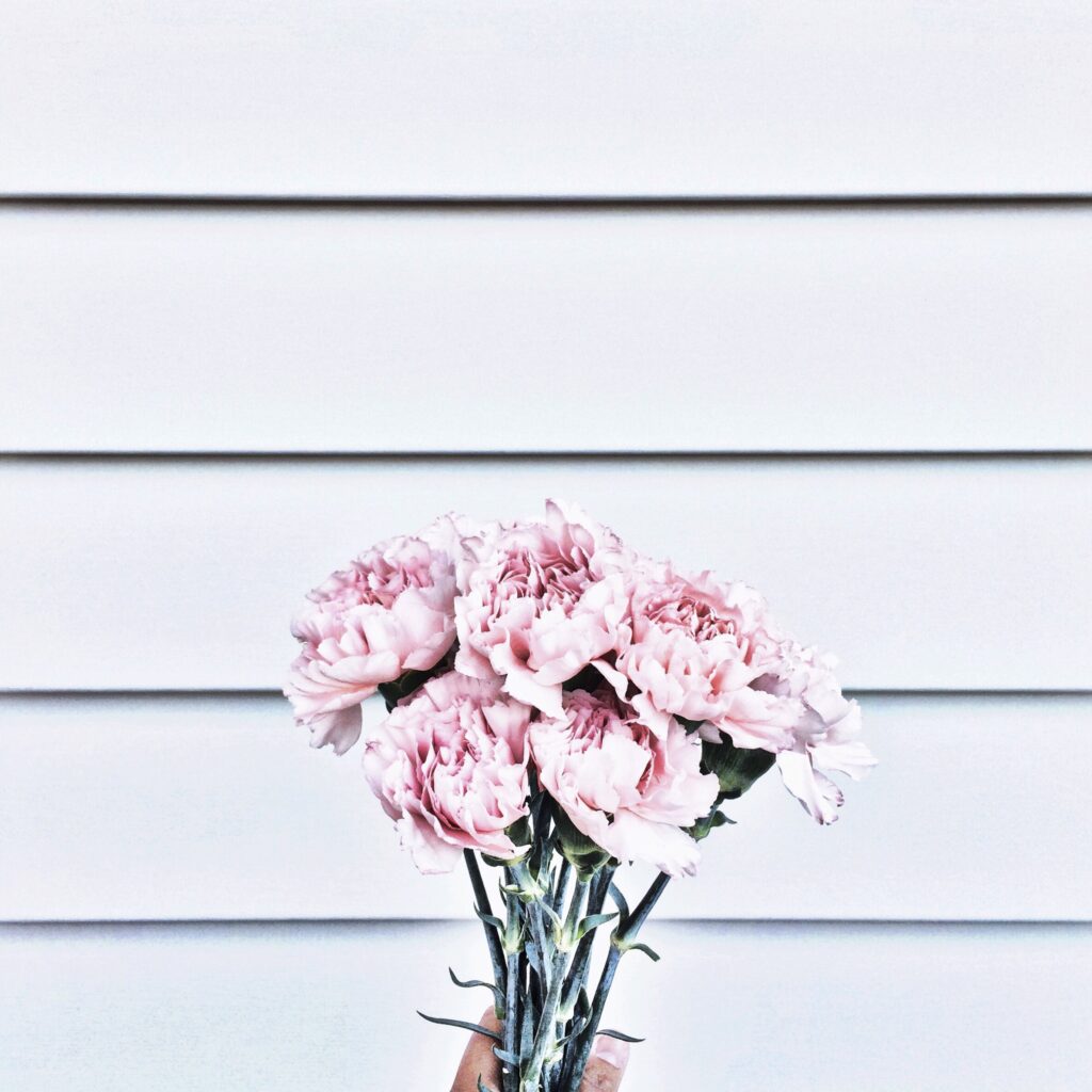 a bundle of light pink carnations