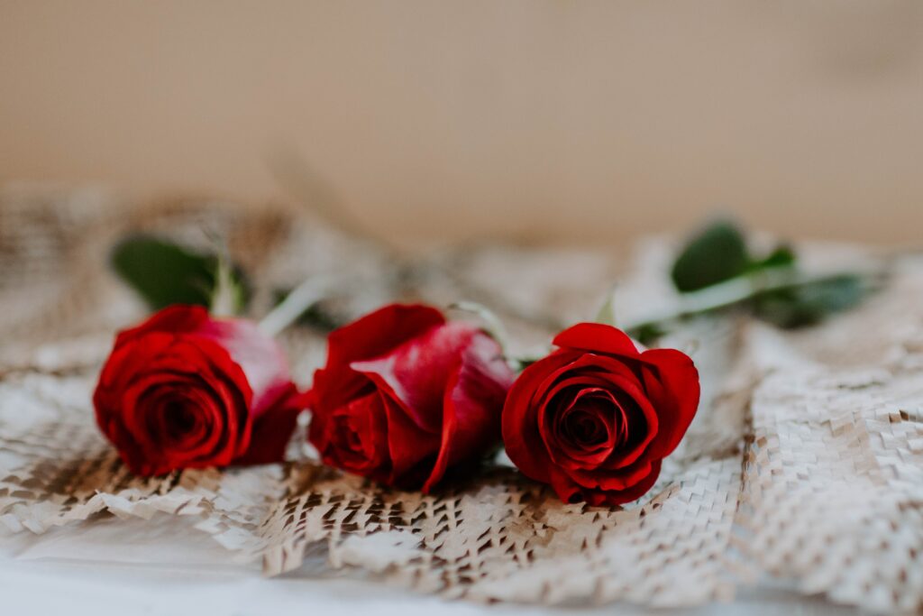 three red roses laying on a table