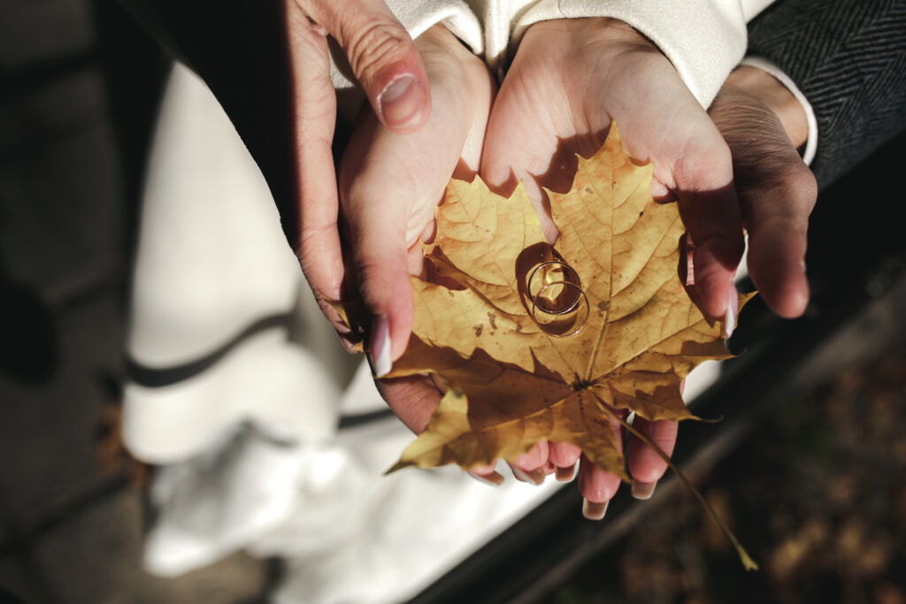 Golden wedding rings on dry fall leaves