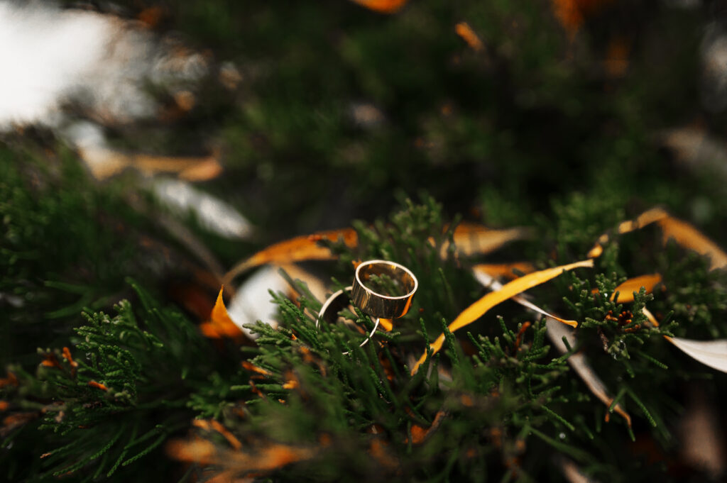 Wedding rings on pine needles