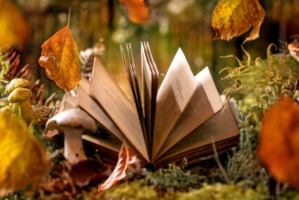 open book on forest floor with falling leaves