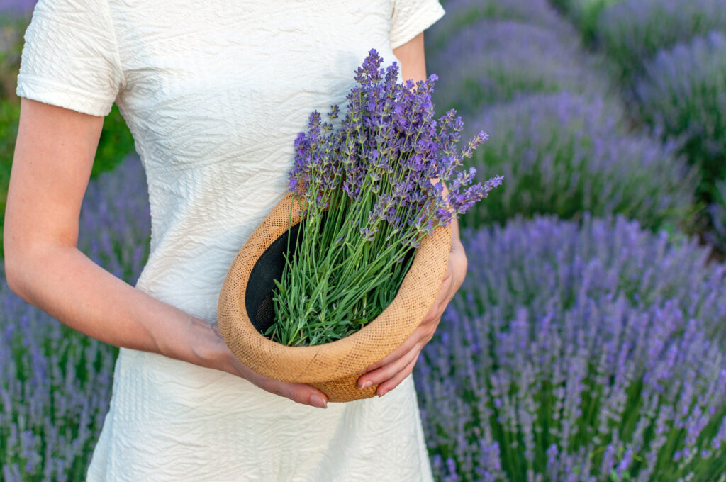 bride holding basket filled with lavendar
